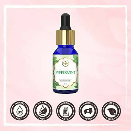 https://cdn.shopify.com/s/files/1/1857/6931/products/dc7l4jq3ZF.jpg?v=1662112121