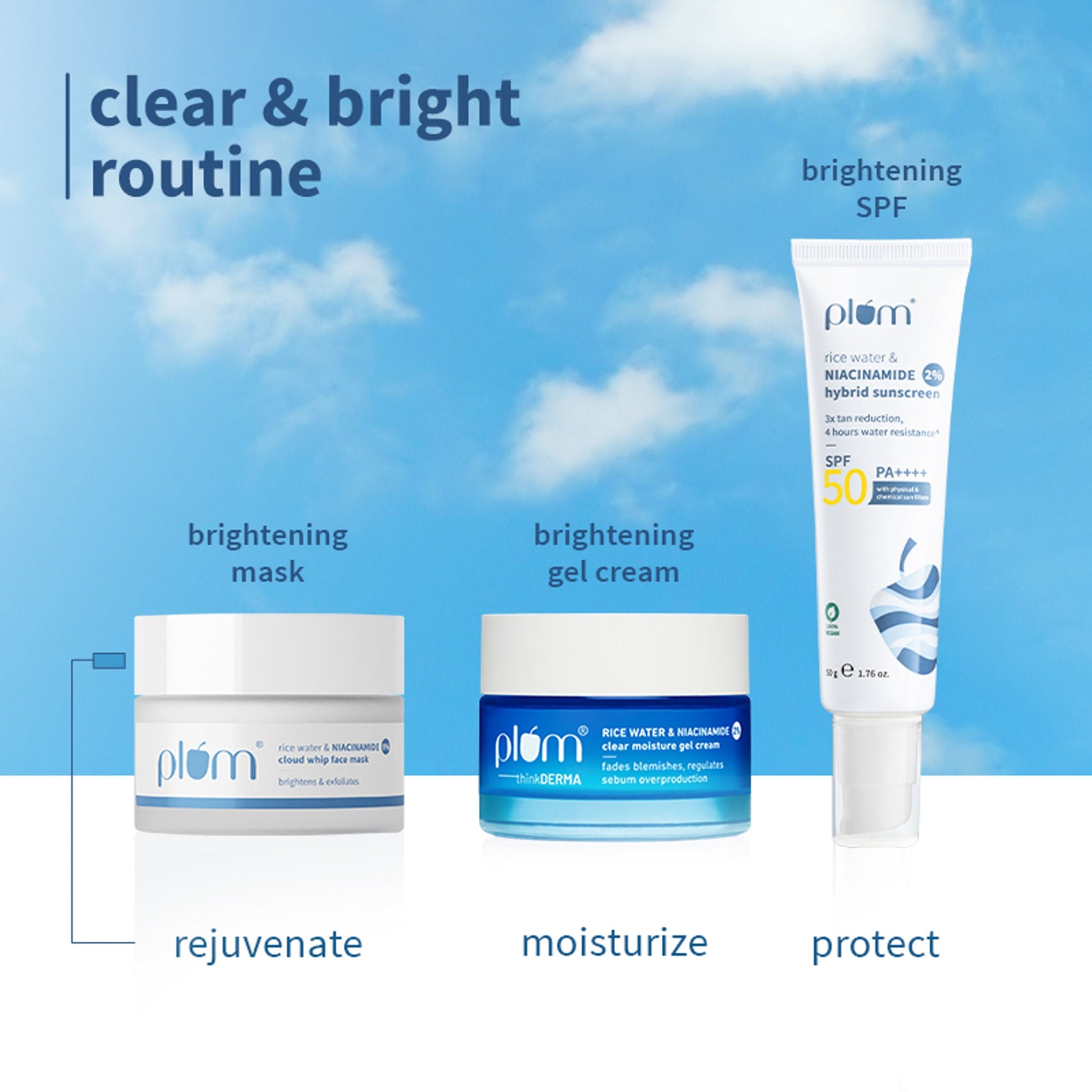 https://cdn.shopify.com/s/files/1/1857/6931/files/dc978a2PLUMX00001190_o7.jpg?v=1767620188