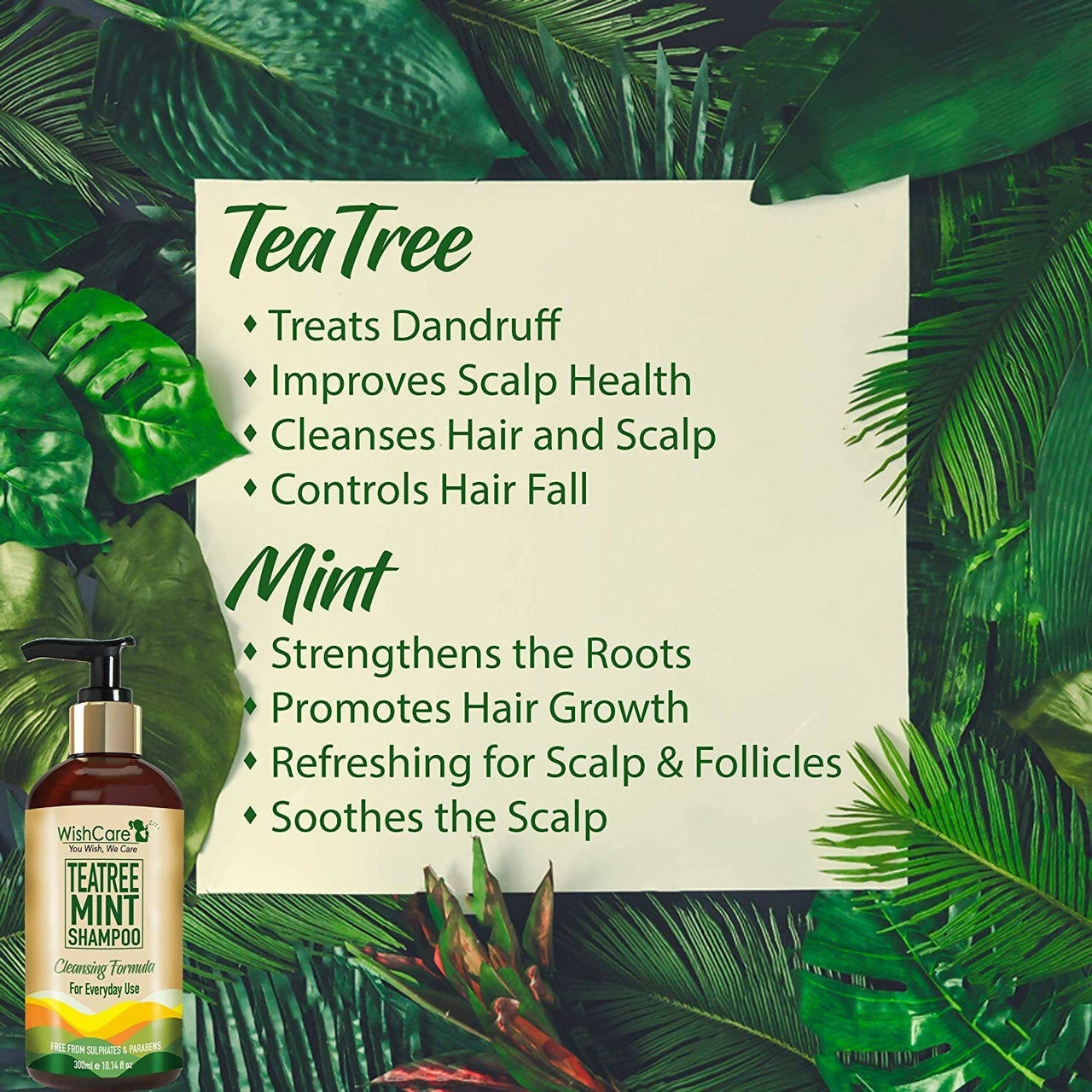 https://cdn.shopify.com/s/files/1/1857/6931/products/dcVZOfDYbG.jpg?v=1686378211