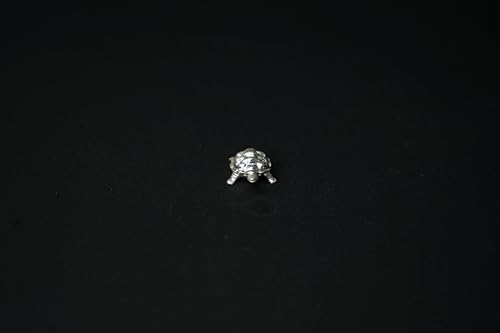 Image 1 of Default Title for the product Dista Silvers Tortoise Idol 6.76 Grams