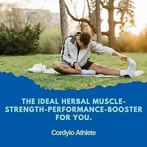 https://cdn.shopify.com/s/files/1/1857/6931/products/deK791rX3l.jpg?v=1741169279