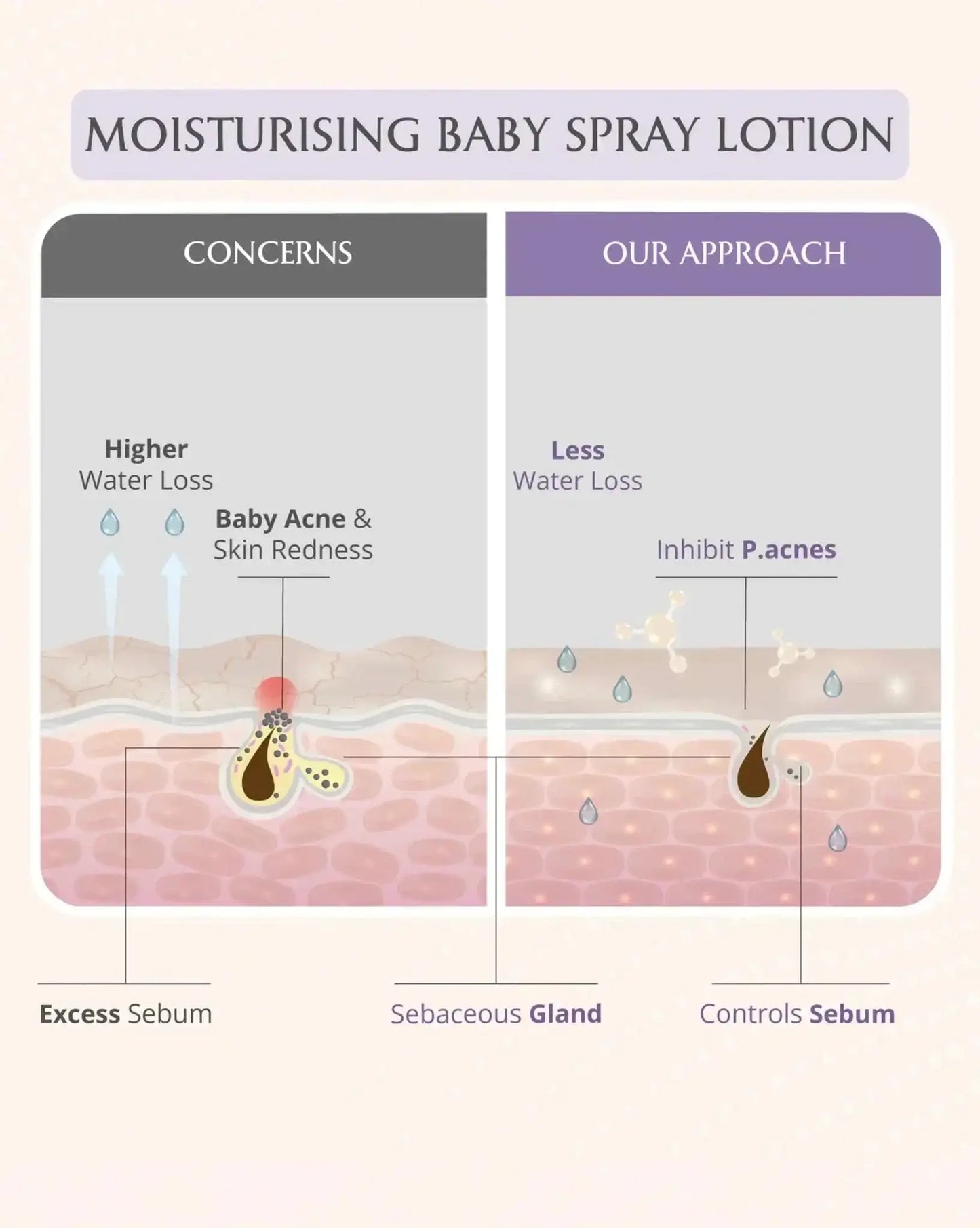 https://cdn.shopify.com/s/files/1/1857/6931/files/deep-moisturising-kit-582386.webp?v=1773221228