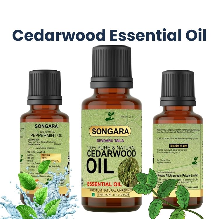 https://cdn.shopify.com/s/files/1/1857/6931/files/devdarutailaCedarwoodessentailoil.jpg?v=1778160433
