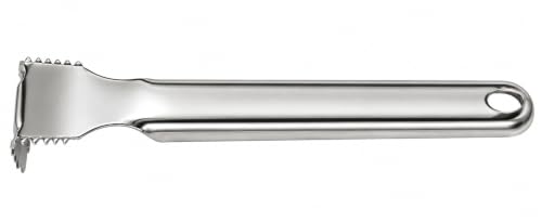 Image 3 of Dynore Stainless Steel Hand Coconut Peeler Scraper/Coconut Grater Set of 1