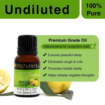 https://cdn.shopify.com/s/files/1/1857/6931/products/dh0dqq9cLD.jpg?v=1614911246