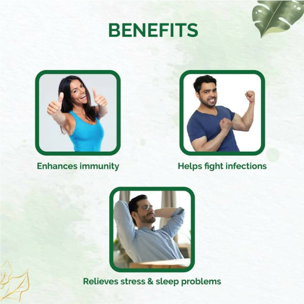 https://cdn.shopify.com/s/files/1/1857/6931/products/diF6Z5lmlg.jpg?v=1670485457