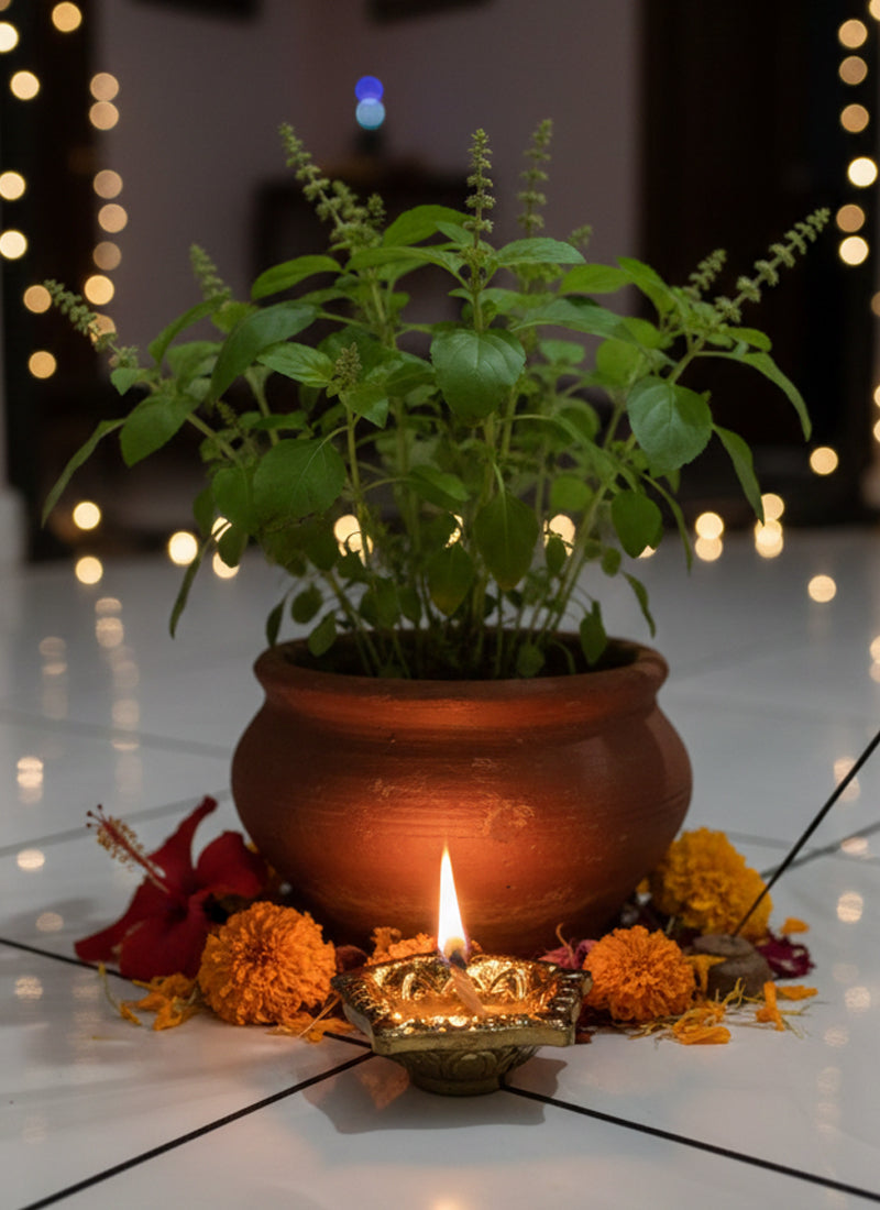https://cdn.shopify.com/s/files/1/1857/6931/files/diya-1.jpg?v=1771500970