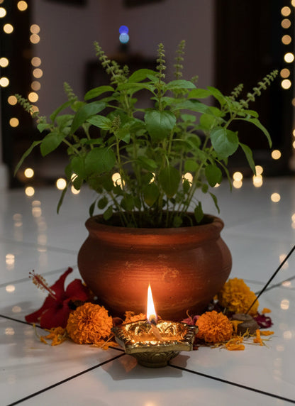 https://cdn.shopify.com/s/files/1/1857/6931/files/diya-1.jpg?v=1771500970