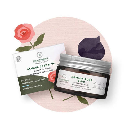 https://cdn.shopify.com/s/files/1/1857/6931/products/djAXkRwZeI.jpg?v=1627008153