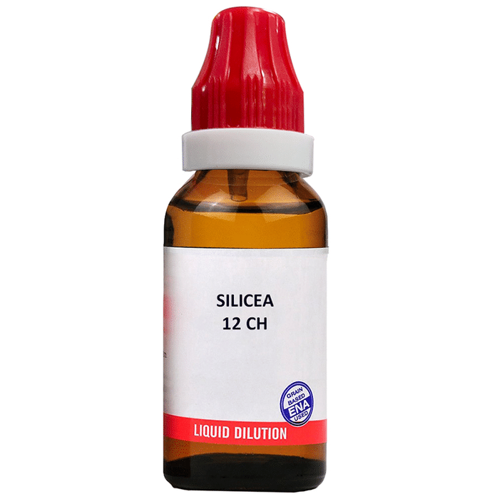 https://cdn.shopify.com/s/files/1/1857/6931/products/dkreuipzmwbjgcoam96p.png?v=1660886105