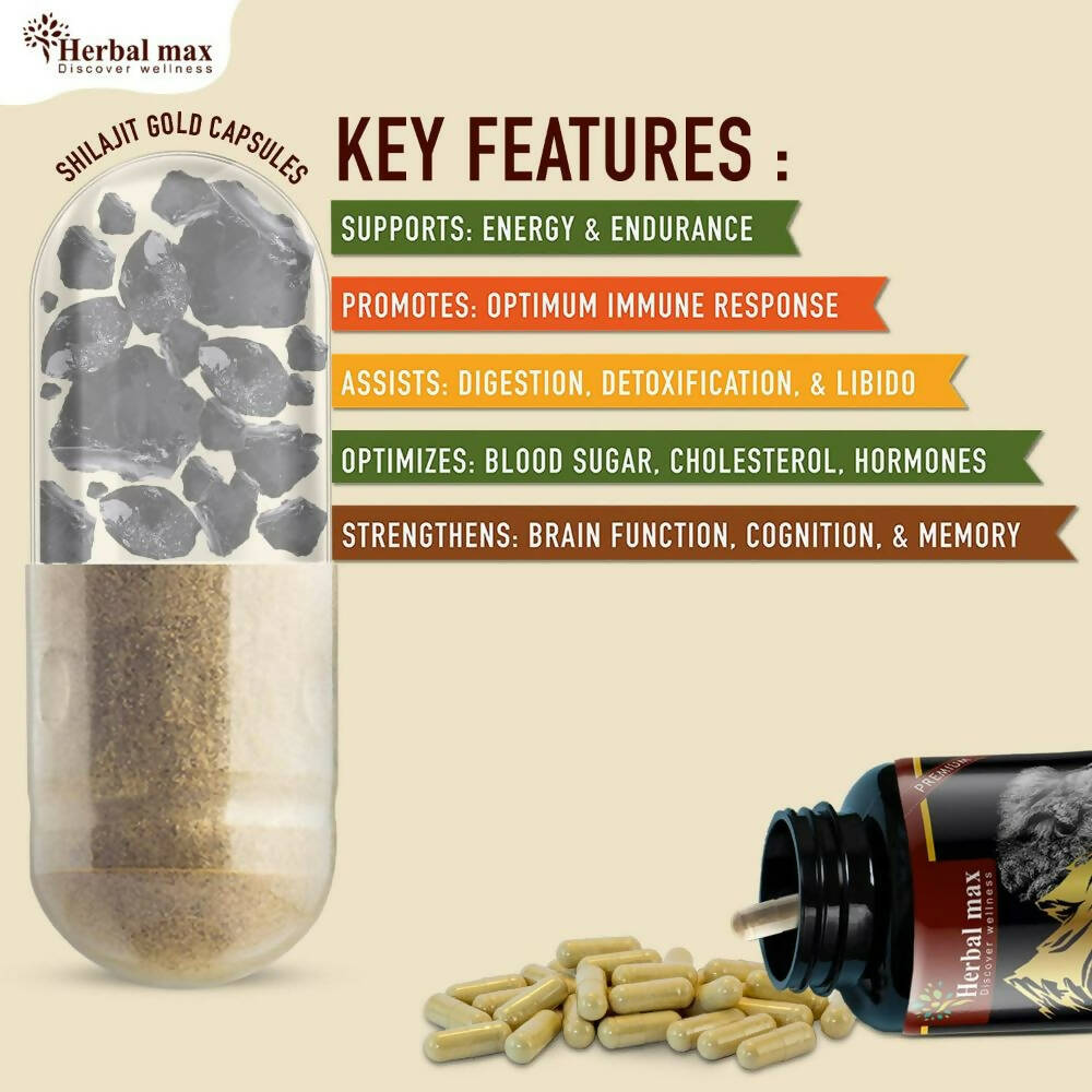 https://cdn.shopify.com/s/files/1/1857/6931/products/dlFSVkfEs4.jpg?v=1693986259