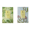 https://cdn.shopify.com/s/files/1/1857/6931/products/dlTPaiMCQt.jpg?v=1762338345