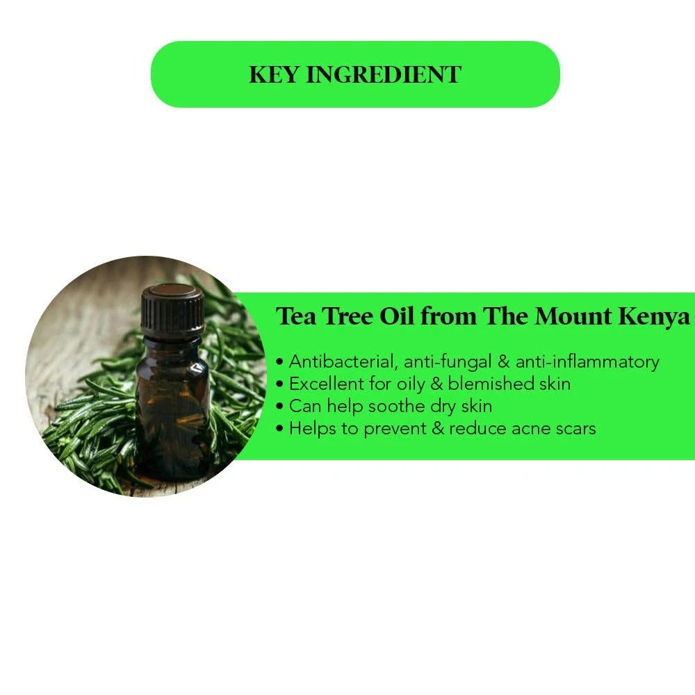 https://cdn.shopify.com/s/files/1/1857/6931/products/download-2022-08-23T155711.181.jpg?v=1714463611