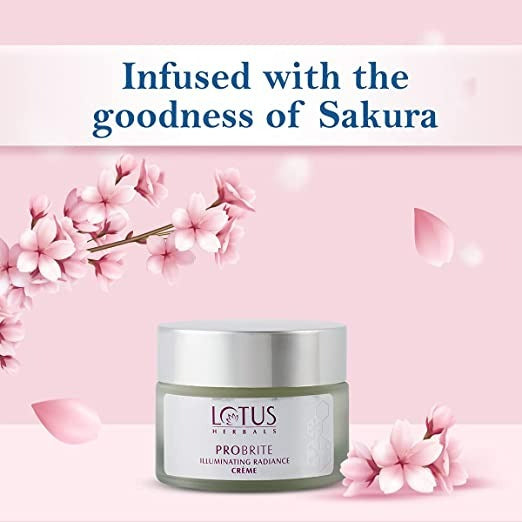 https://cdn.shopify.com/s/files/1/1857/6931/products/download-2022-09-14T121414.508.jpg?v=1663137910