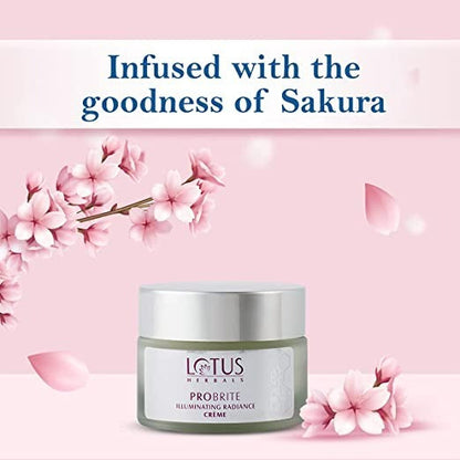 https://cdn.shopify.com/s/files/1/1857/6931/products/download-2022-09-14T121414.508.jpg?v=1663137910