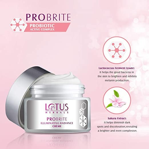 https://cdn.shopify.com/s/files/1/1857/6931/products/download-2022-09-14T121427.509.jpg?v=1663137910