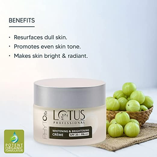 https://cdn.shopify.com/s/files/1/1857/6931/products/download-2022-09-14T130717.153.jpg?v=1755083534