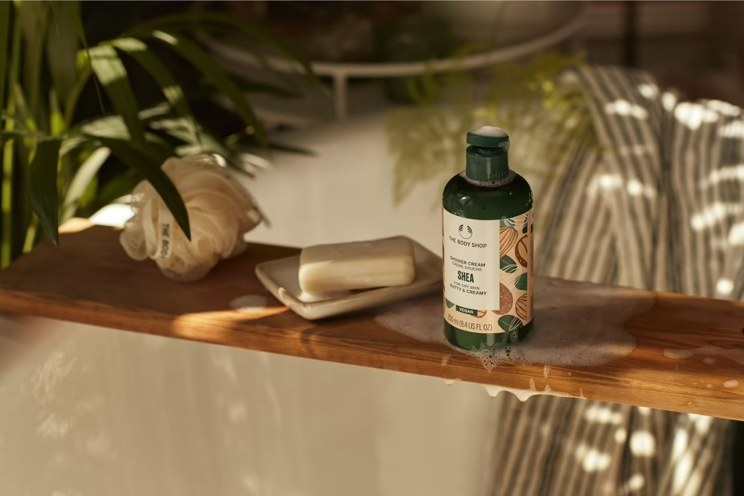 https://cdn.shopify.com/s/files/1/1857/6931/products/download-2023-02-21T141121.154_1.jpg?v=1676968941