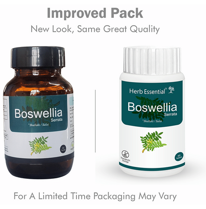 https://cdn.shopify.com/s/files/1/1857/6931/files/download-2023-05-26T175759.357.png?v=1722577575