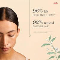 https://cdn.shopify.com/s/files/1/1857/6931/files/download-2024-02-27T163050.525.jpg?v=1755083756