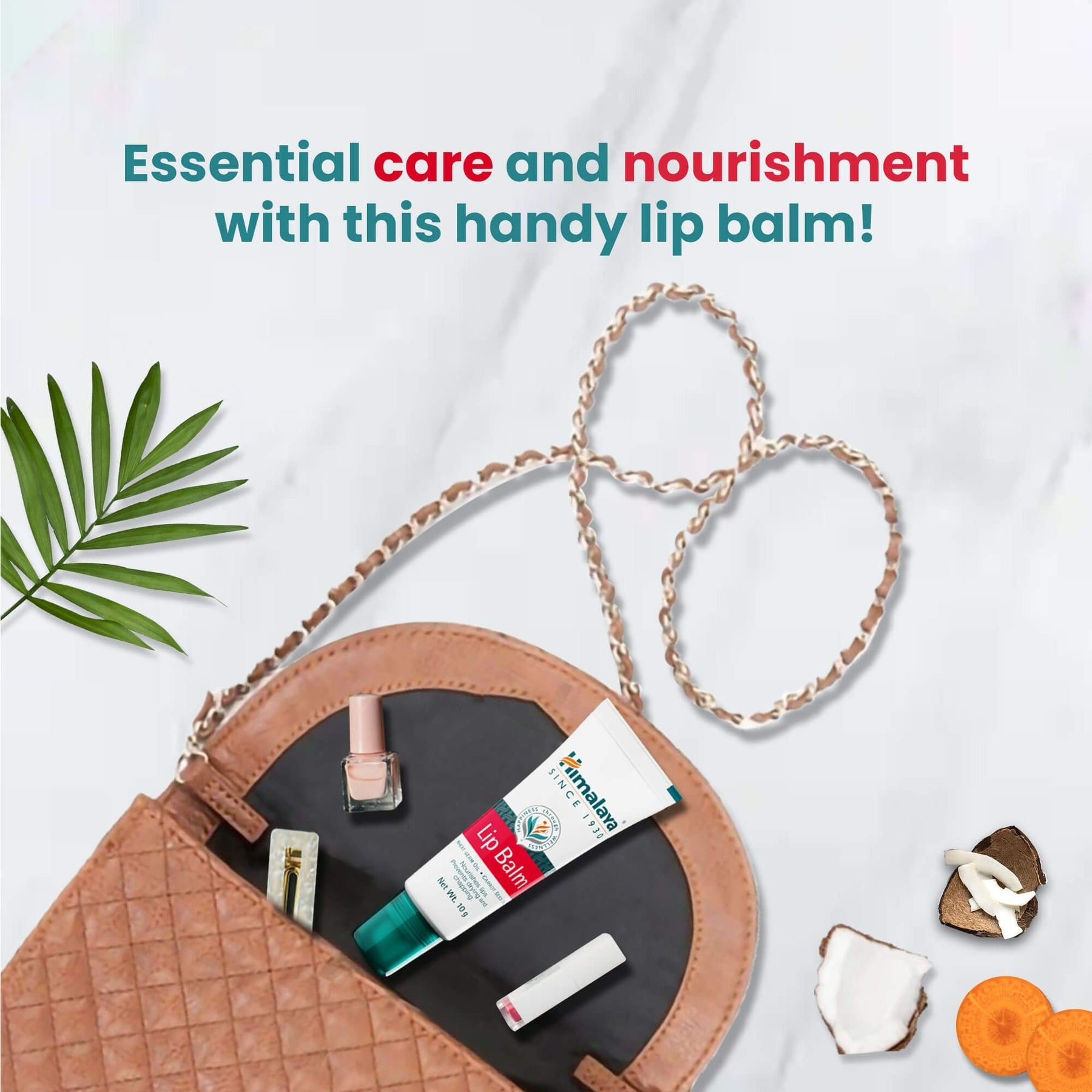 https://cdn.shopify.com/s/files/1/1857/6931/files/download-2024-04-24T145332.863.jpg?v=1713950633