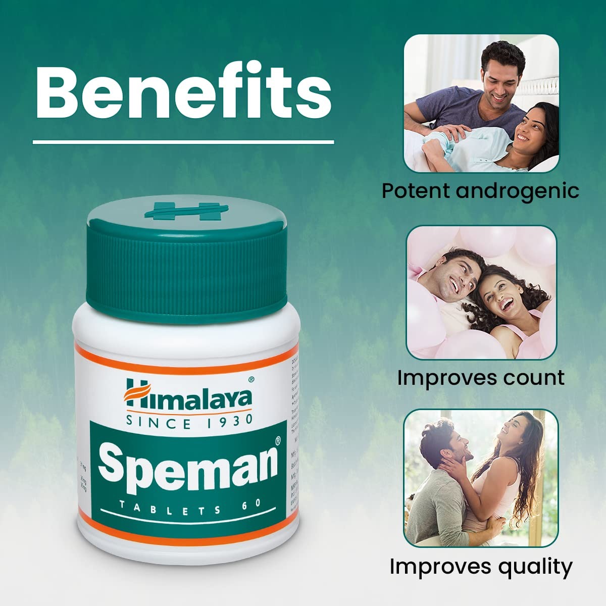 https://cdn.shopify.com/s/files/1/1857/6931/files/download_-_2024-09-09T154755.315.jpg?v=1737607635