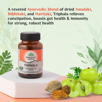 https://cdn.shopify.com/s/files/1/1857/6931/files/download_-_2024-09-09T155423.293.jpg?v=1737558835