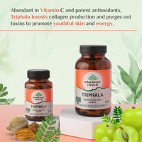 https://cdn.shopify.com/s/files/1/1857/6931/files/download_-_2024-09-09T155433.319.jpg?v=1737558836