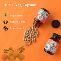https://cdn.shopify.com/s/files/1/1857/6931/files/download_-_2024-09-09T155439.193.jpg?v=1737558836