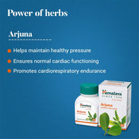 https://cdn.shopify.com/s/files/1/1857/6931/files/download_-_2024-09-09T160152.164.jpg?v=1749727650