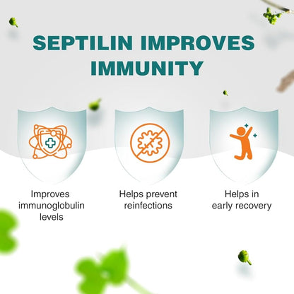 https://cdn.shopify.com/s/files/1/1857/6931/files/download_-_2024-09-09T164843.293.jpg?v=1737607592