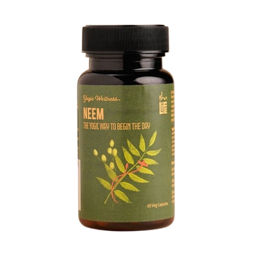 https://cdn.shopify.com/s/files/1/1857/6931/files/download_-_2025-12-11T095549.728-removebg-preview.png?v=1765427219