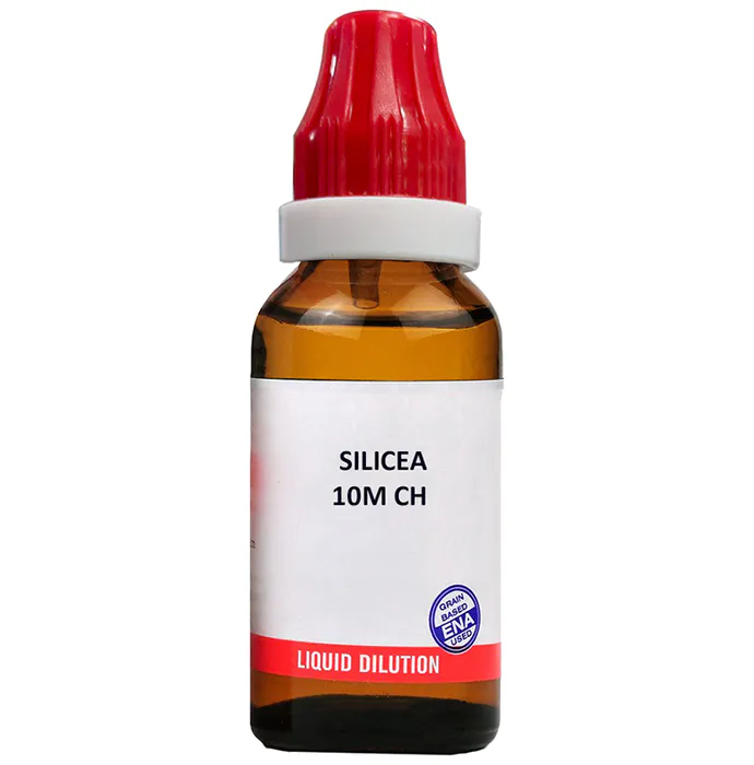 https://cdn.shopify.com/s/files/1/1857/6931/products/download_10.png?v=1660886815