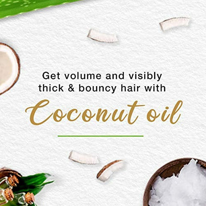 https://cdn.shopify.com/s/files/1/1857/6931/products/download_12_9026a33b-8824-463f-bc0d-c4c6b65079e5.jpg?v=1755083853
