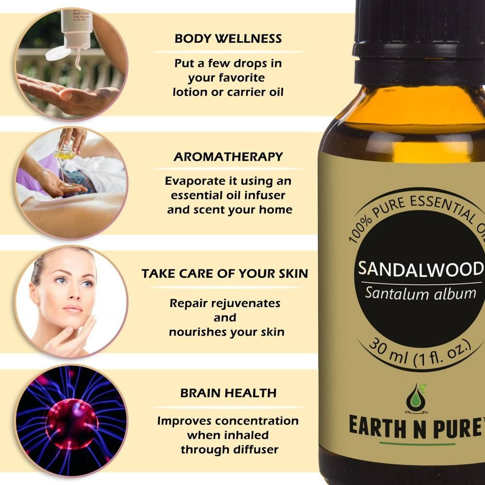 https://cdn.shopify.com/s/files/1/1857/6931/files/download_15.jpg?v=1755083497