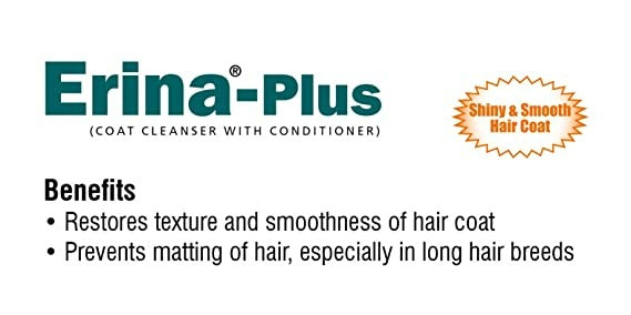 https://cdn.shopify.com/s/files/1/1857/6931/products/download_1_342dd757-1358-465c-9467-0fa3373c50e8.jpg?v=1668065010