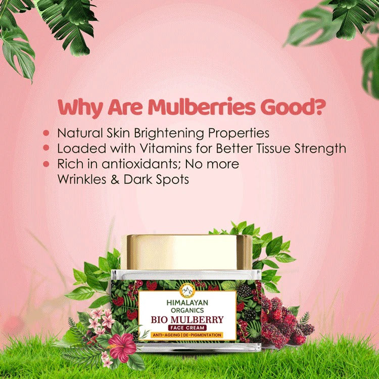 https://cdn.shopify.com/s/files/1/1857/6931/products/download_21_01a7a254-e097-4007-89d9-4c9eabc808a5.jpg?v=1663061948
