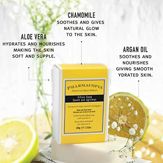 https://cdn.shopify.com/s/files/1/1857/6931/products/download_21_42389ba0-eea7-41e2-b315-220a6e70184f.jpg?v=1663997874
