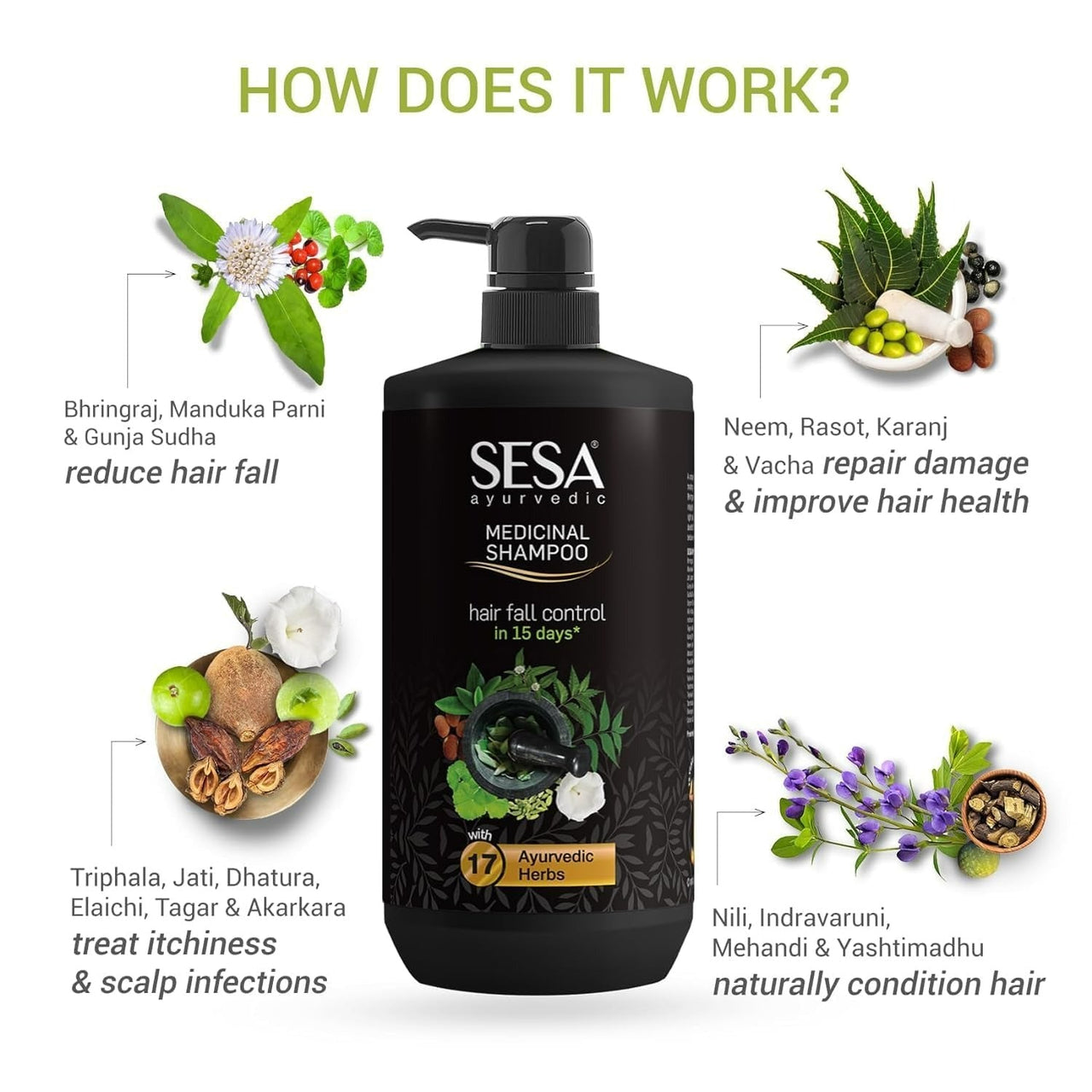 https://cdn.shopify.com/s/files/1/1857/6931/files/download_43.jpg?v=1747830310