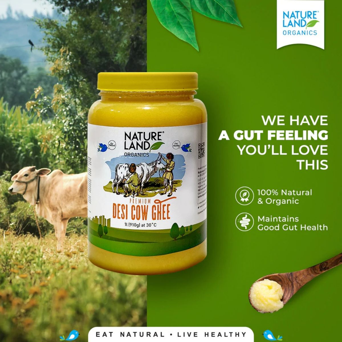 Image 1 of Nature Land Organics Premium Desi Cow Ghee | Organic Ghee From Desi Cow | Homemade Ghee