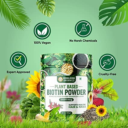 https://cdn.shopify.com/s/files/1/1857/6931/products/download_51_30d247a4-3082-40ad-acb5-c11efa59d924.jpg?v=1699868987