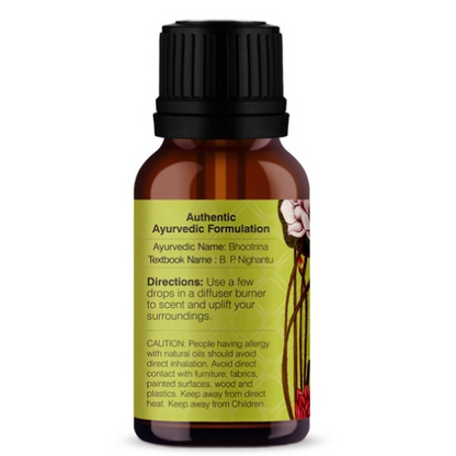 https://cdn.shopify.com/s/files/1/1857/6931/products/download_53.png?v=1661335927