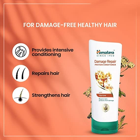 https://cdn.shopify.com/s/files/1/1857/6931/products/download_59_8356a0d1-53b2-4ec1-bab9-de567832b3b0.jpg?v=1737202472
