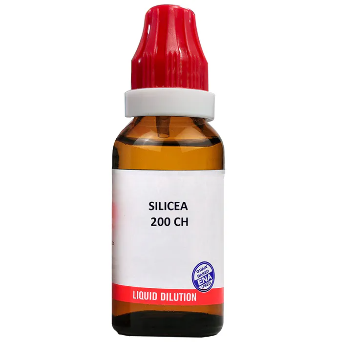 https://cdn.shopify.com/s/files/1/1857/6931/products/download_8.png?v=1660886809