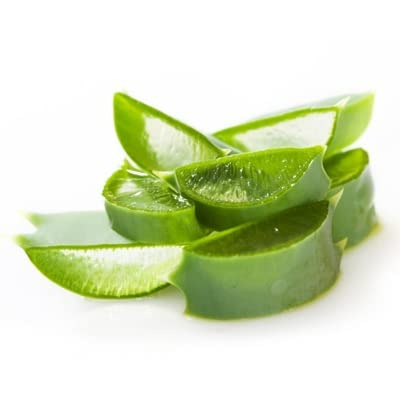 https://cdn.shopify.com/s/files/1/1857/6931/products/download_8_45c8f1b9-90eb-4118-a79c-3ac8fddd6014.jpg?v=1772081818