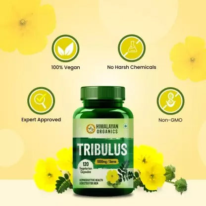 https://cdn.shopify.com/s/files/1/1857/6931/products/download_96_457c5fa6-6d10-4740-be73-46d8adbff2b5.jpg?v=1679030476