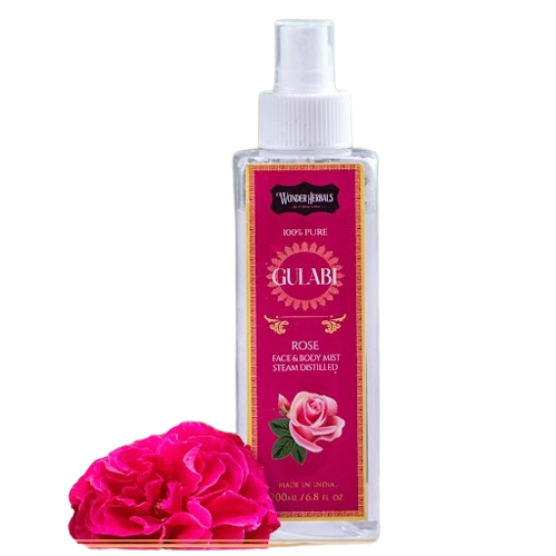 https://cdn.shopify.com/s/files/1/1857/6931/products/download__69_-removebg-preview.png?v=1759303966