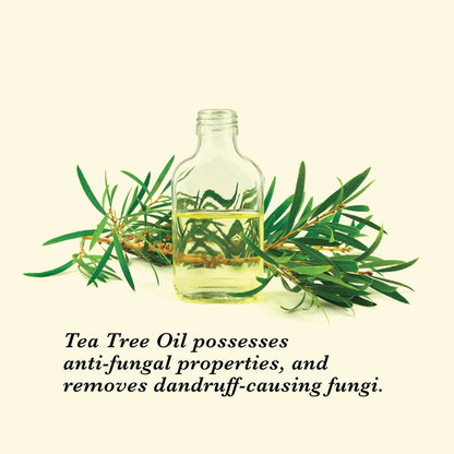 https://cdn.shopify.com/s/files/1/1857/6931/products/dp1jLsV9Me.jpg?v=1627008136
