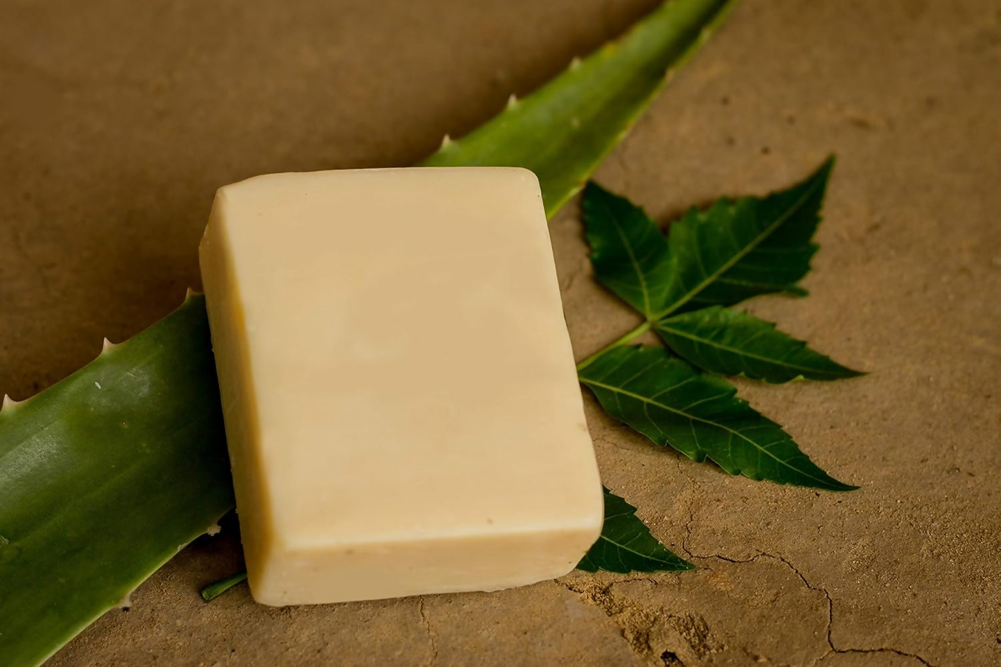 https://cdn.shopify.com/s/files/1/1857/6931/files/driKJhkfJX.png?v=1779252341