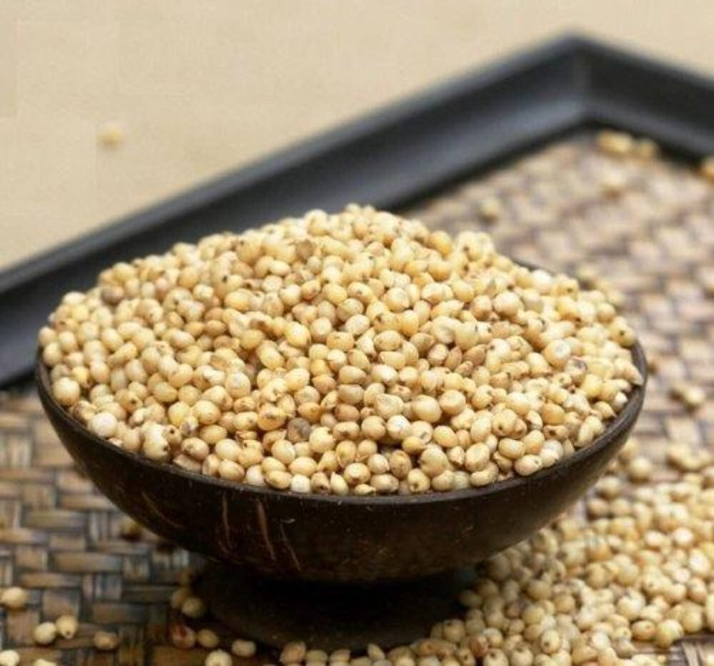 https://cdn.shopify.com/s/files/1/1857/6931/products/dried-jowar-millet-500x500.jpg?v=1759287658